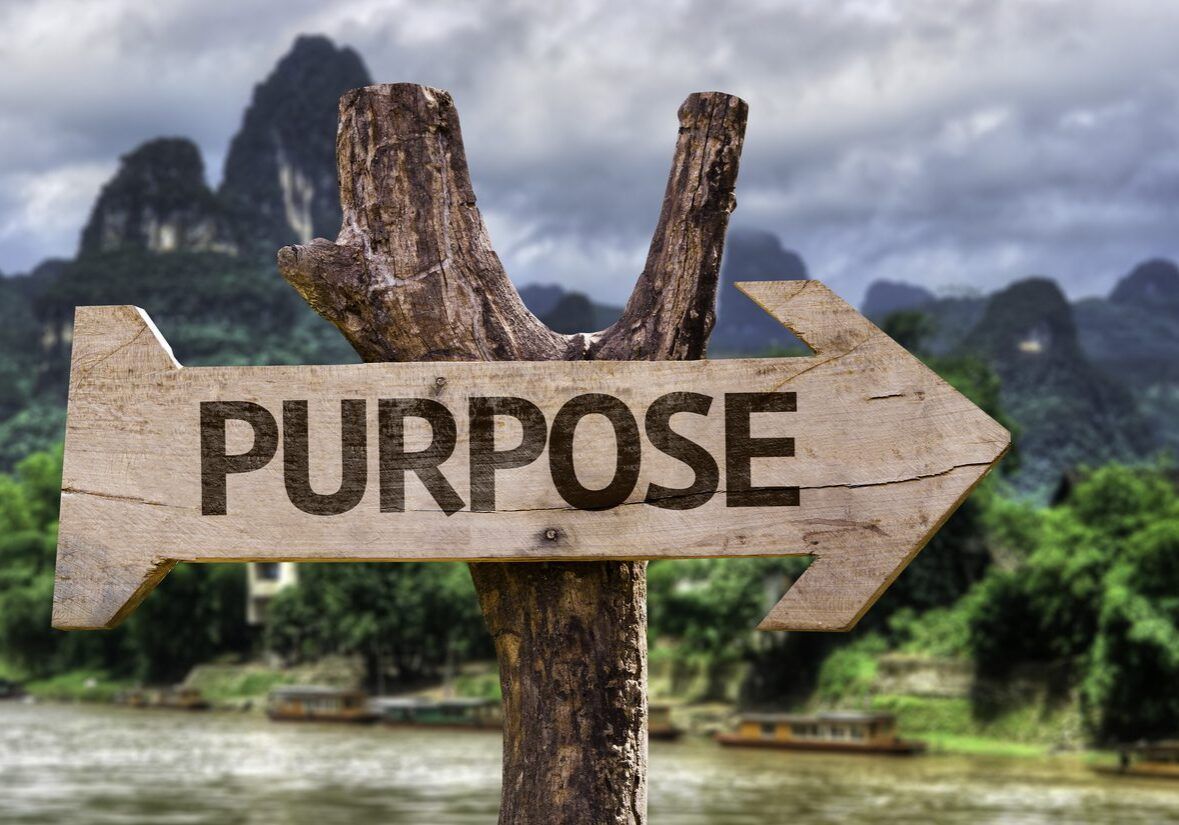 Purpose wooden sign with a forest background